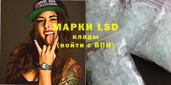 ГАЛЛЮЦИНОГЕННЫЕ ГРИБЫ Балахна